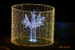 DSCN4733